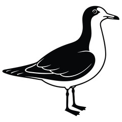 Seagulls Silhouette, seagull icon minimal silhouette style vector art illustration on a white background, Seagull standing vector silhouette illustration isolated on white background.
