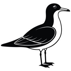 Seagulls Silhouette, seagull icon minimal silhouette style vector art illustration on a white background, Seagull standing vector silhouette illustration isolated on white background.