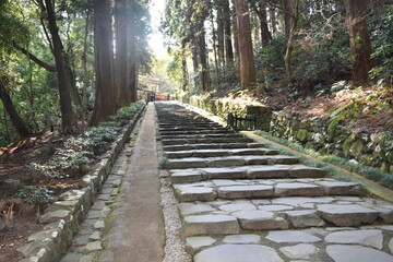 仙台の竹林の階段