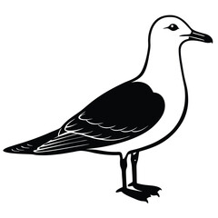 Seagulls Silhouette, seagull icon minimal silhouette style vector art illustration on a white background, Seagull standing vector silhouette illustration isolated on white background.