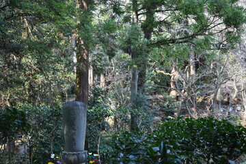 仙台の竹林の階段