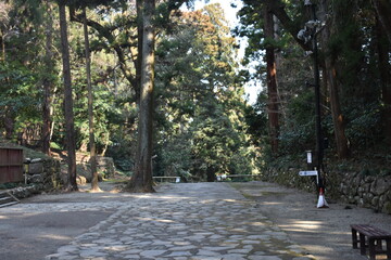 仙台　瑞鳳殿　風景