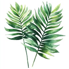 Palm Leaves in Watercolor By Generated AI
