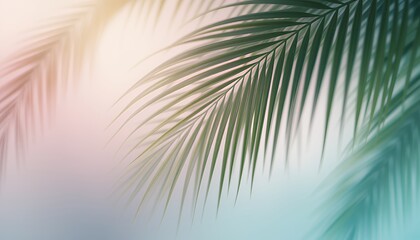 Artistic Palm Leaves with Subtle Blur