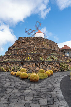 Le Jardin de Cactus est un parc situ&eacute; dans l'ancienne carri&egrave;re de Guatiza dans la commune de Teguise 