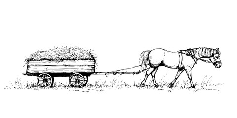 horse pulling hay cart traditional doodle sketch hand made design vector © Kaz