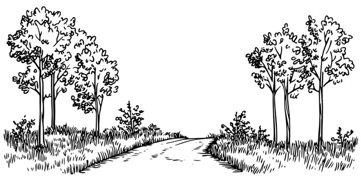 country path among trees retro ink sketch monochrome isolated vector