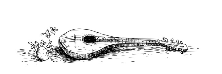 Obraz premium mandolin lute vector sketch illustration