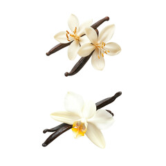 Pile of vanilla beans and frangipani flowers isolated on white background.