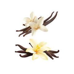 Pile of vanilla beans and frangipani flowers isolated on white background.