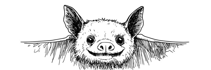 smiling bat with open wings vector doodle sketch engraving