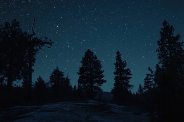 Naklejka premium Real photo of Starry night sky over forest trees silhouette outdoors.