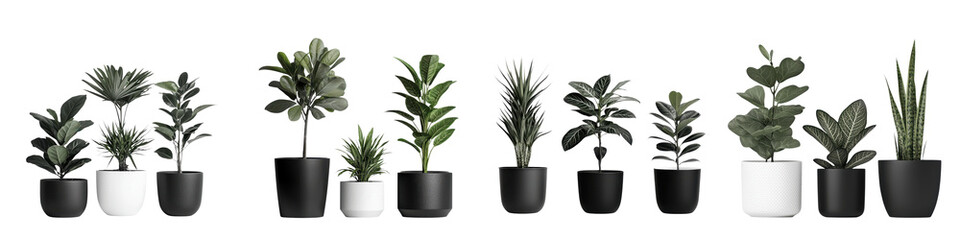 Fototapeta premium Collection of various types of potted plants including tropical foliage succulents and greenery for decorative use in home or office spaces