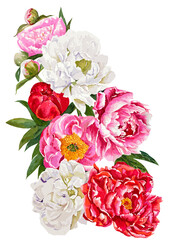 Watercolor Peony Painting