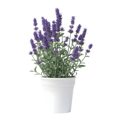 Naklejka premium Highly detailed lavender plant in a white pot