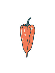 Funny red pepper cartoon character with simple design
