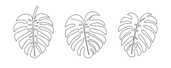 Set of tropical monstera leaves. Exotic plant Monstera Deliciosa. Palm leaf, branches hand drawn vector illustration
