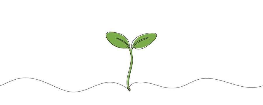 sprout continuous one line drawing. Seeds sprouting in the ground. Growth, seedling, gardening concept one line. Plant growth process Vector illustration.