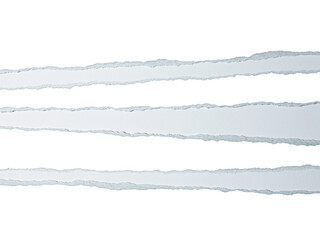Fototapeta premium Horizontal strips of ripped white paper on a transparent background