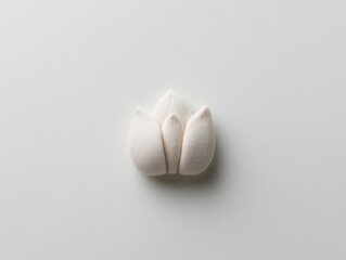 Elegant white lotus flower with soft petals.
