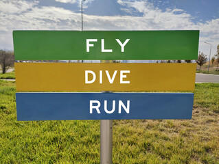 FLY - DIVE - RUN: Embracing the Freedom of Movement and the Thrill of Adventure, Where Each Action...