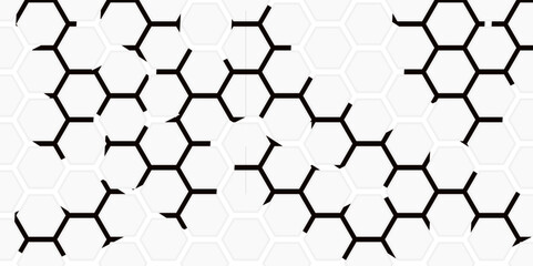 Abstract Hexagon white and black background  and shadow. Abstract background design with white and black hexagon and  Abstract. Hexagon. Vector.