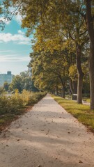Fototapeta premium Long walking path in the park in summer