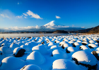 河口湖から富士山と雪景色.