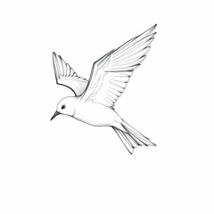 Fototapeta premium Soaring Dove in Monochrome: A pristine black and white drawing of a dove in mid-flight, its wings gracefully spread against the canvas, symbolizing peace and freedom.