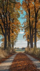 Fototapeta premium Autumn path lined with tall trees and fallen leaves