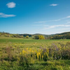 Obraz premium Beautiful green field under blue sky
