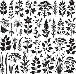 various plants and floral elements, silhouette vector