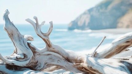 Weathered driftwood on sandy beach with ocean and cliffs background