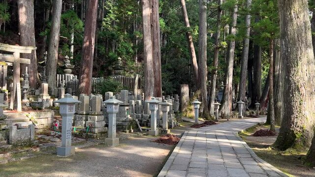 Pan across approach to Okunoin Temple in Koyasan, Japan