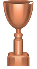 Bronze Award Cup