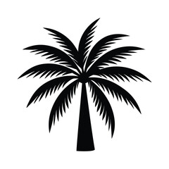 silhouette of palm tree