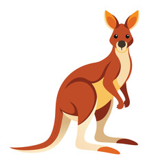 kangaroo vector