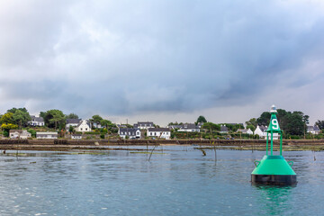 Green Buoy near the Harbour in Brittany