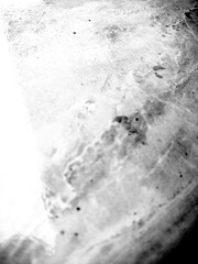 Old vintage abstract transparant background