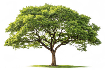 Majestic Green Tree in a Vibrant Digital Landscape