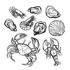 Vector black and white line art illustration of seafood, featuring lobster, crab, shrimp, oysters, and shells. Minimalistic and elegant, following the 2025 trend. Perfect for menus, packaging, and bra