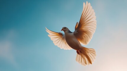 Fototapeta premium Majestic bird in flight open sky nature photography tranquil environment aerial view freedom concept