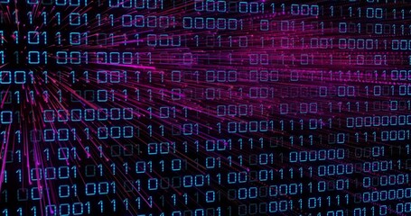 Animation of dynamic data processing with binary code and digital lines in school - Powered by Adobe