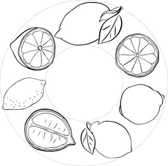 Lemon whole and slices with leaves Circle round frame with an empty text place. Banner, poster, sticker, print, modern textile design. Vector graphic line ink black and white illustration.