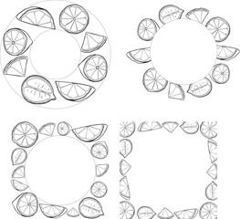 Lemon slice circle round frame set vector drawing. Citrus fruit circle and square label template. graphic line ink black and white illustration for packaging, tea, juice, natural cosmetics, lemonade