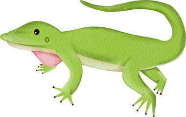 watercolor green anole