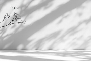 Minimalist Abstract White Studio Background with Shadows for Product Presentation and Showcase