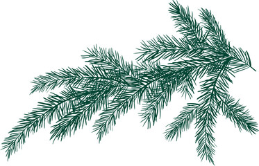 Pine tree branches Christmas illustration