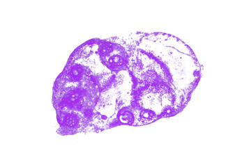 Bright purple watercolor or ink stain with watercolor marks on transparent background.