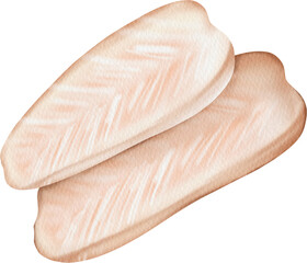 watercolor fish meat